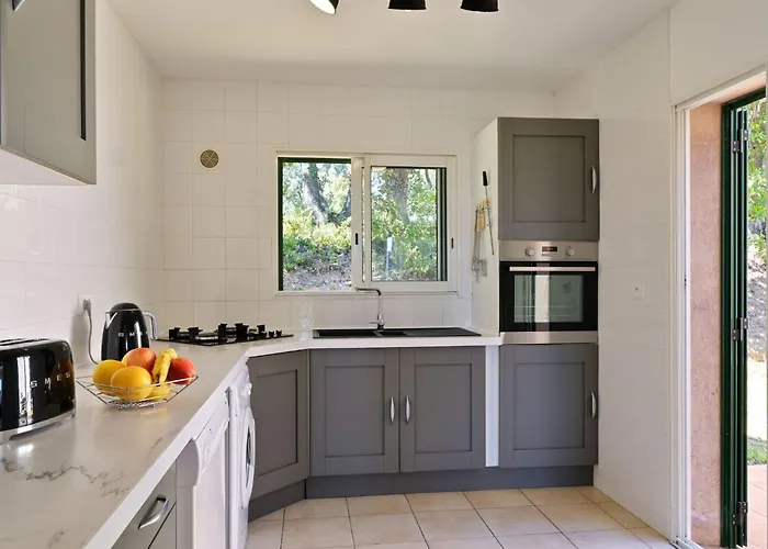 Weingut Punta Della Guardia Ruhig Und Beschaulich By Interhome *