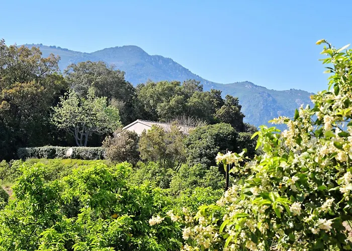 Casa vacanze Weingut Punta Della Guardia Ruhig Und Beschaulich By Interhome