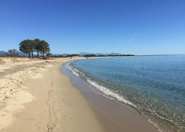 Weingut Punta Della Guardia Ruhig Und Beschaulich By Interhome Casa vacanze