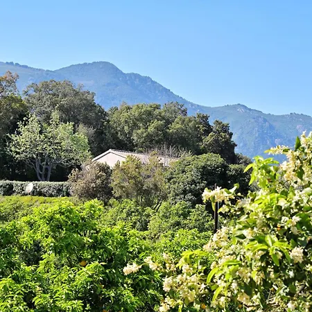 Hébergement de vacances Weingut Punta Della Guardia Ruhig Und Beschaulich By Interhome