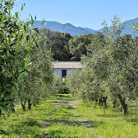 Casa vacanze Weingut Punta Della Guardia Ruhig Und Beschaulich By Interhome Cervione