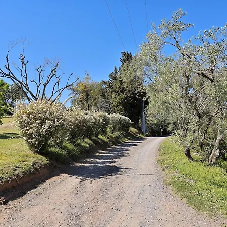 Weingut Punta Della Guardia Ruhig Und Beschaulich By Interhome *