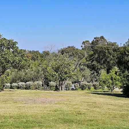 Weingut Punta Della Guardia Ruhig Und Beschaulich By Interhome