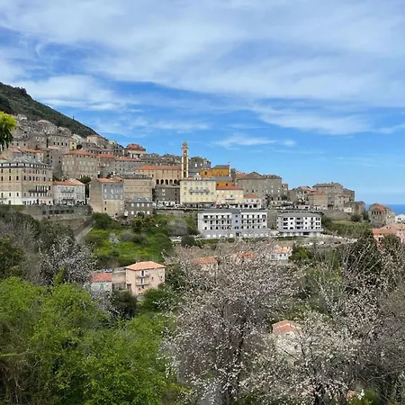 Weingut Punta Della Guardia Ruhig Und Beschaulich By Interhome *