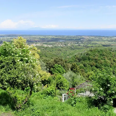 Weingut Punta Della Guardia Ruhig Und Beschaulich By Interhome Cervione