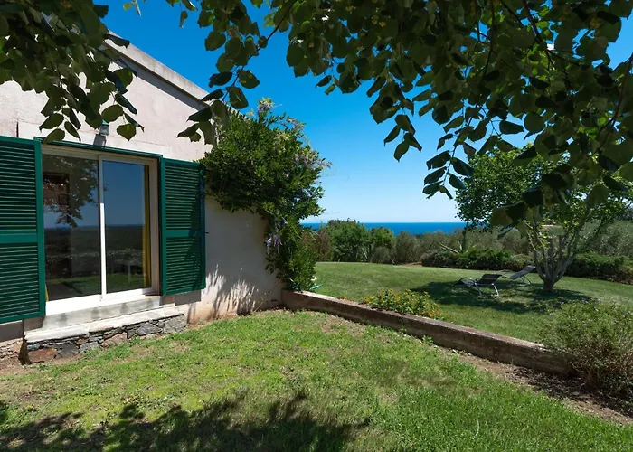 Weingut Punta Della Guardia Ruhig Und Beschaulich By Interhome