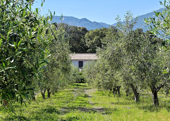 Hébergement de vacances Weingut Punta Della Guardia Ruhig Und Beschaulich By Interhome Cervione