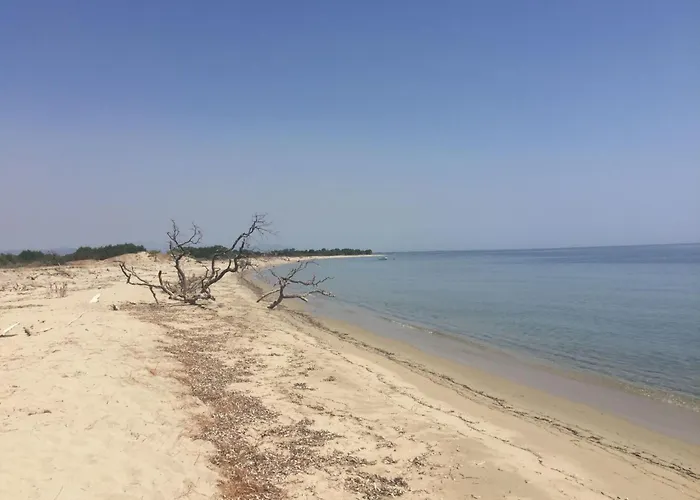 Hébergement de vacances Weingut Punta Della Guardia Ruhig Und Beschaulich By Interhome *