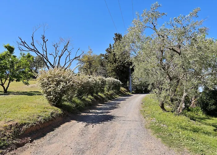 Weingut Punta Della Guardia Ruhig Und Beschaulich By Interhome *