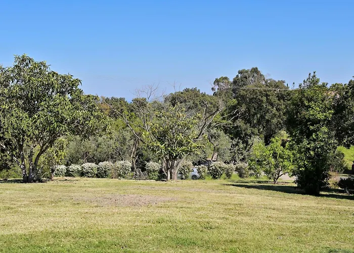 Weingut Punta Della Guardia Ruhig Und Beschaulich By Interhome