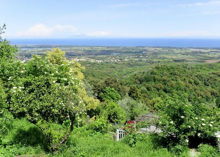 Weingut Punta Della Guardia Ruhig Und Beschaulich By Interhome Cervione