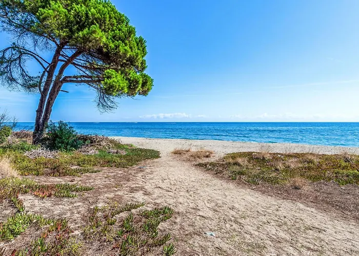 Hébergement de vacances Weingut Punta Della Guardia Ruhig Und Beschaulich By Interhome *